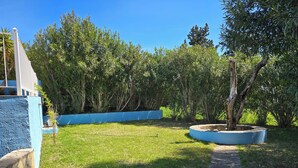 Un jardín con un sendero de piedra, un muro azulado y varios árboles.