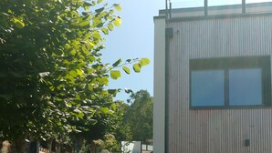 Un bâtiment moderne à deux étages, doté d’une clôture en bois, d’un escalier menant à l’étage supérieur et d’un jardin agrémenté de diverses plantes et fleurs.