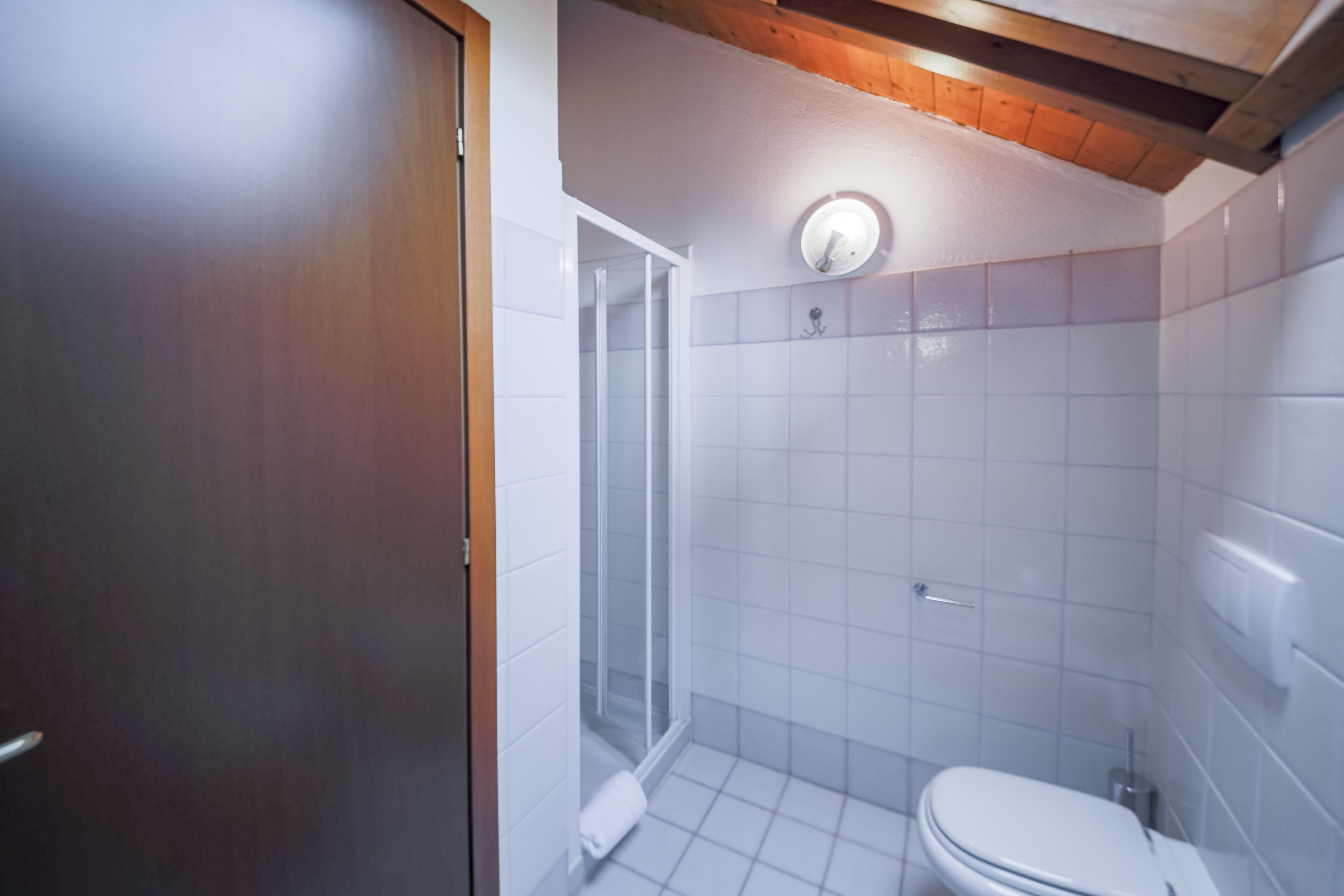 A bathroom with a shower, toilet, and a wooden ceiling.