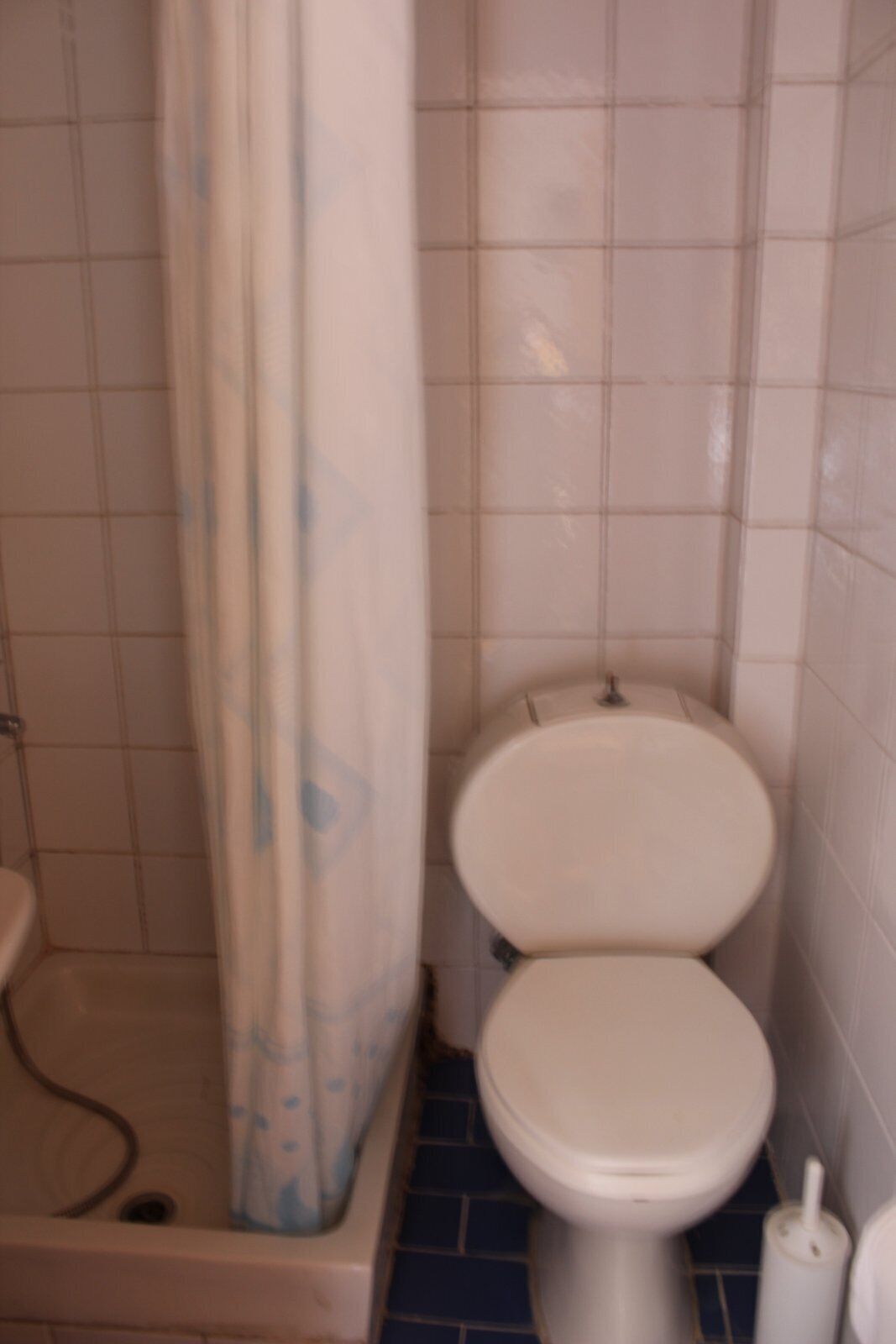 Un baño con inodoro, cortina de ducha y dispensador de papel higiénico.