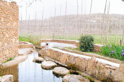 Casa Cueva La Exclusiva Real Cueva Andaluza