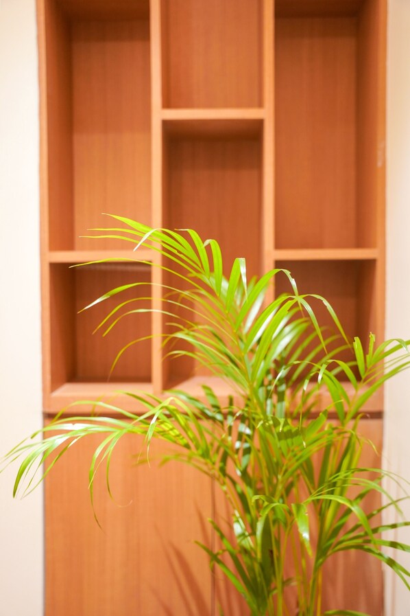 A potted plant with long, slender leaves in front of a wooden shelving unit. - Hotel Beyond Blu (Port Blair)