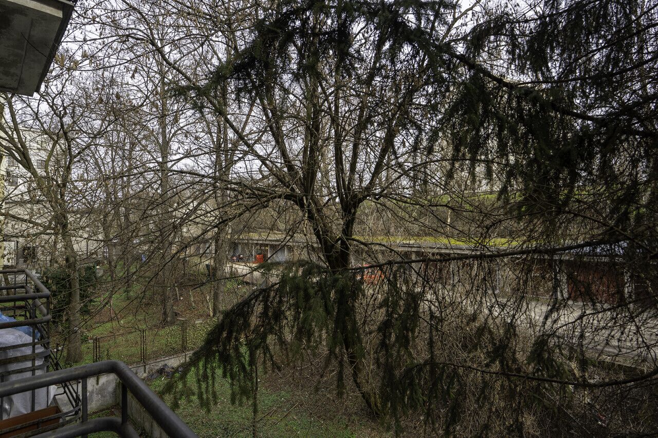 A tree with bare branches and a metal staircase in the foreground.