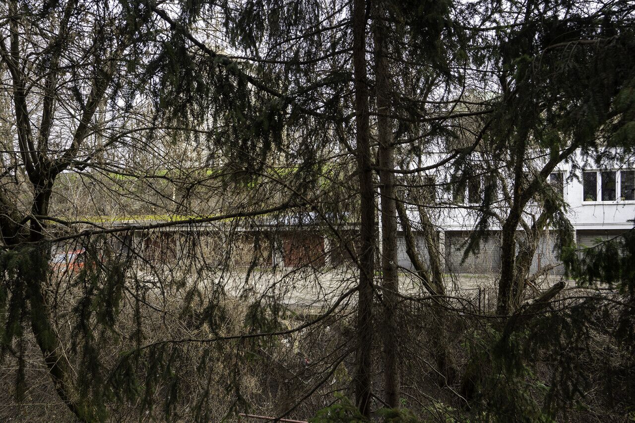 A building partially obscured by dense trees.