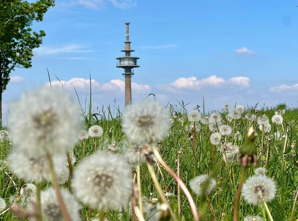 A tower with multiple levels and a field of dandelions in the foreground. - Eifelauszeit - Auszeit ist Eifelzeit / bis zu 8 Personen + Kind + Vierbeiner (Hürtgenwald)