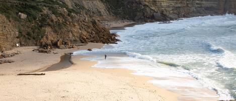 Playa en los alrededores