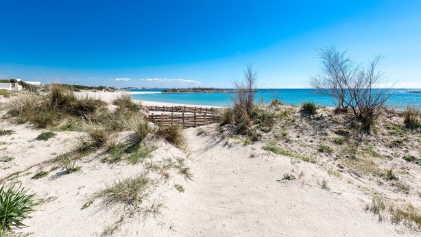 A sandy beach with a wooden fence leading to the water, clear skies, and distant buildings. - 3835 Summer House by Barbarhouse (Porto Cesareo)