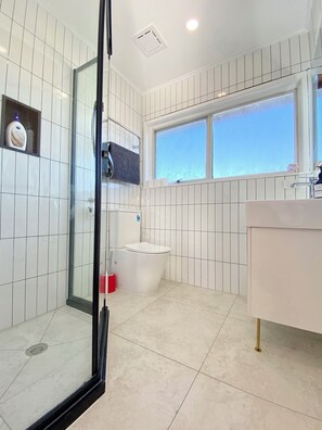 Shower, hair dryer, towels, soap