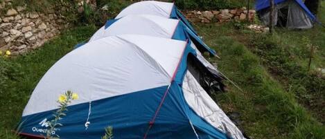 Comfort Tent, Mountain View
