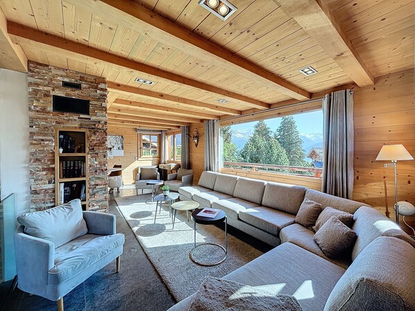 TV, fireplace, offices - Beautiful quiet chalet with garden, garage and Wifi (Combloux)