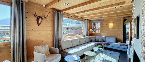 Télévision, cheminée, espaces bureaux