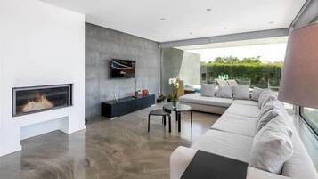 TV, fireplace, video games