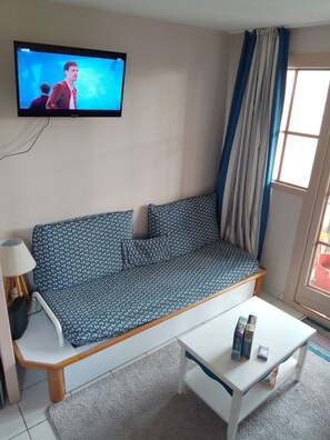 Televisión y libros