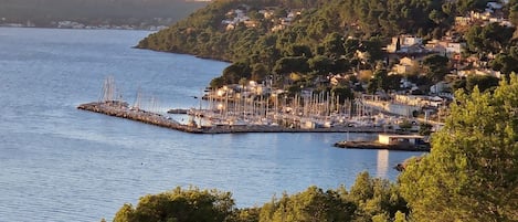 Marina