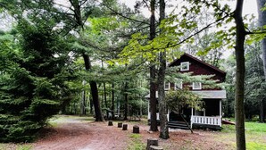A rustic cabin surrounded by dense forest, with a dirt path leading to it.