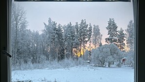 A window with a view of a snowy landscape, including trees and a house.