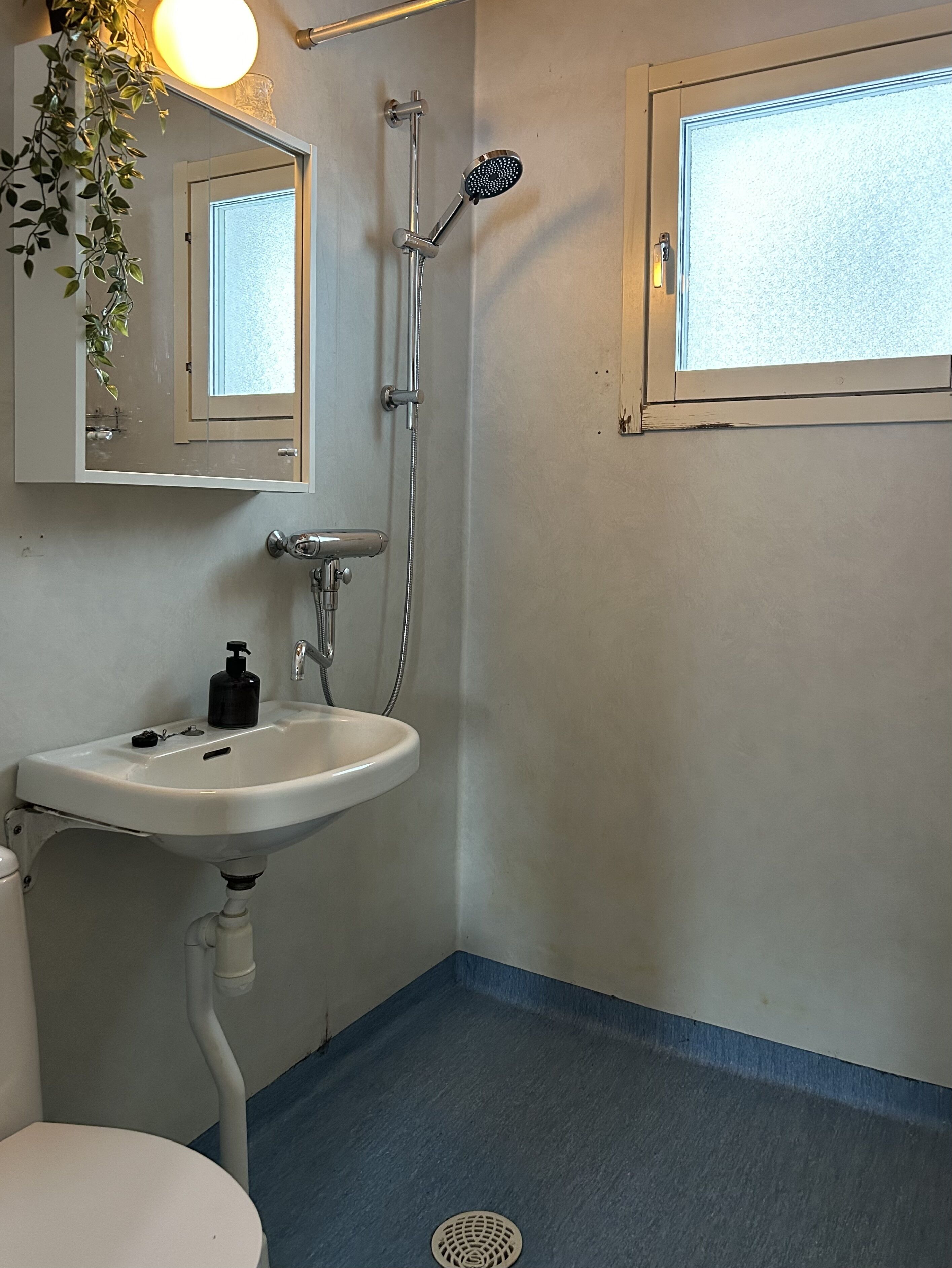 A bathroom with a white sink, a handheld showerhead, a mirror, and a window.
