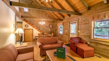 Televisión, chimenea y reproductor de DVD