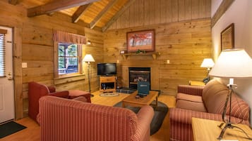 Televisión, chimenea y reproductor de DVD