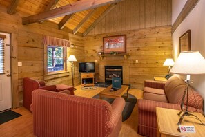 TV, fireplace, DVD player