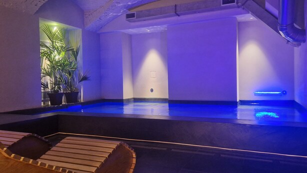Un área de spa con piscina, tumbonas de madera y plantas en macetas.