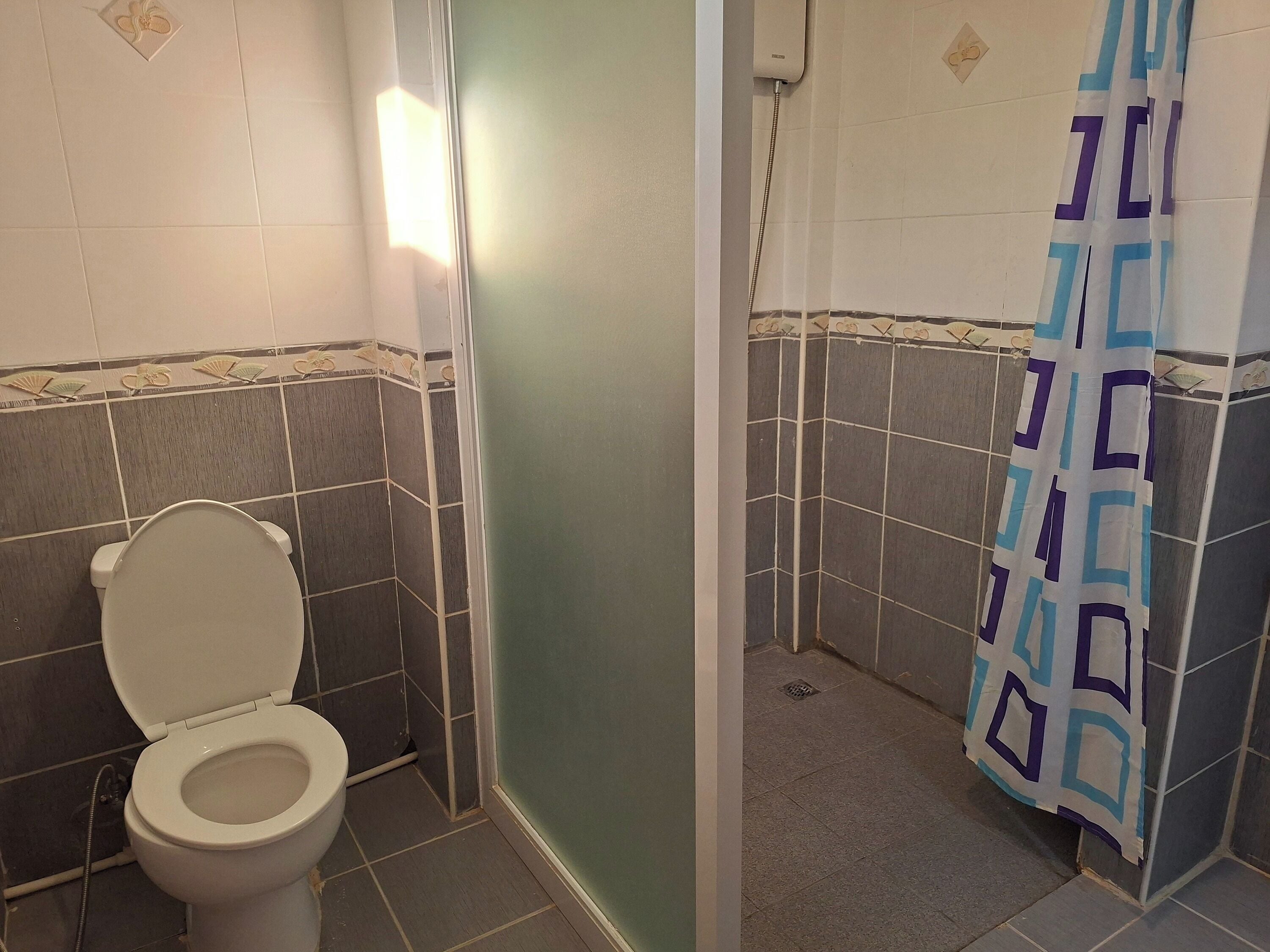 A bathroom with a toilet, a shower, and a curtain.