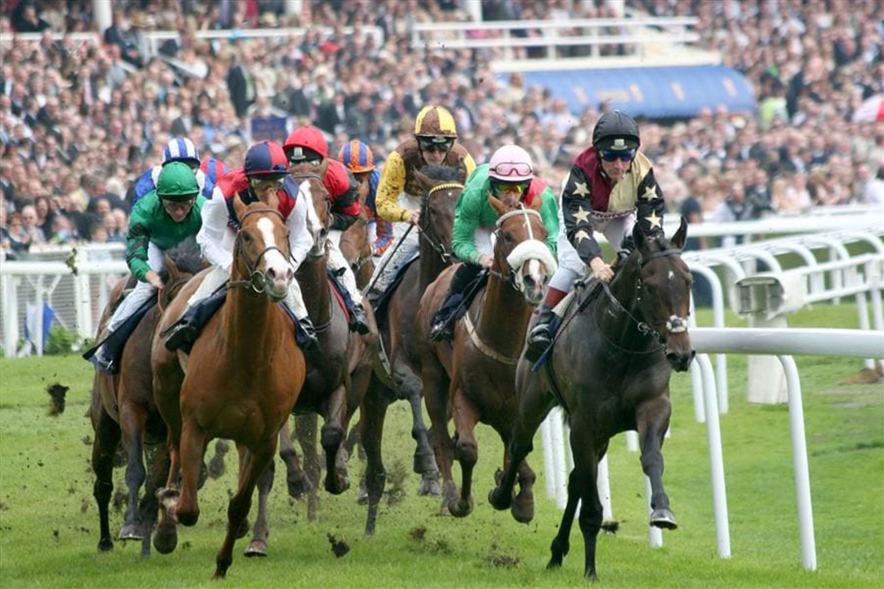 A horse race with jockeys on horses.