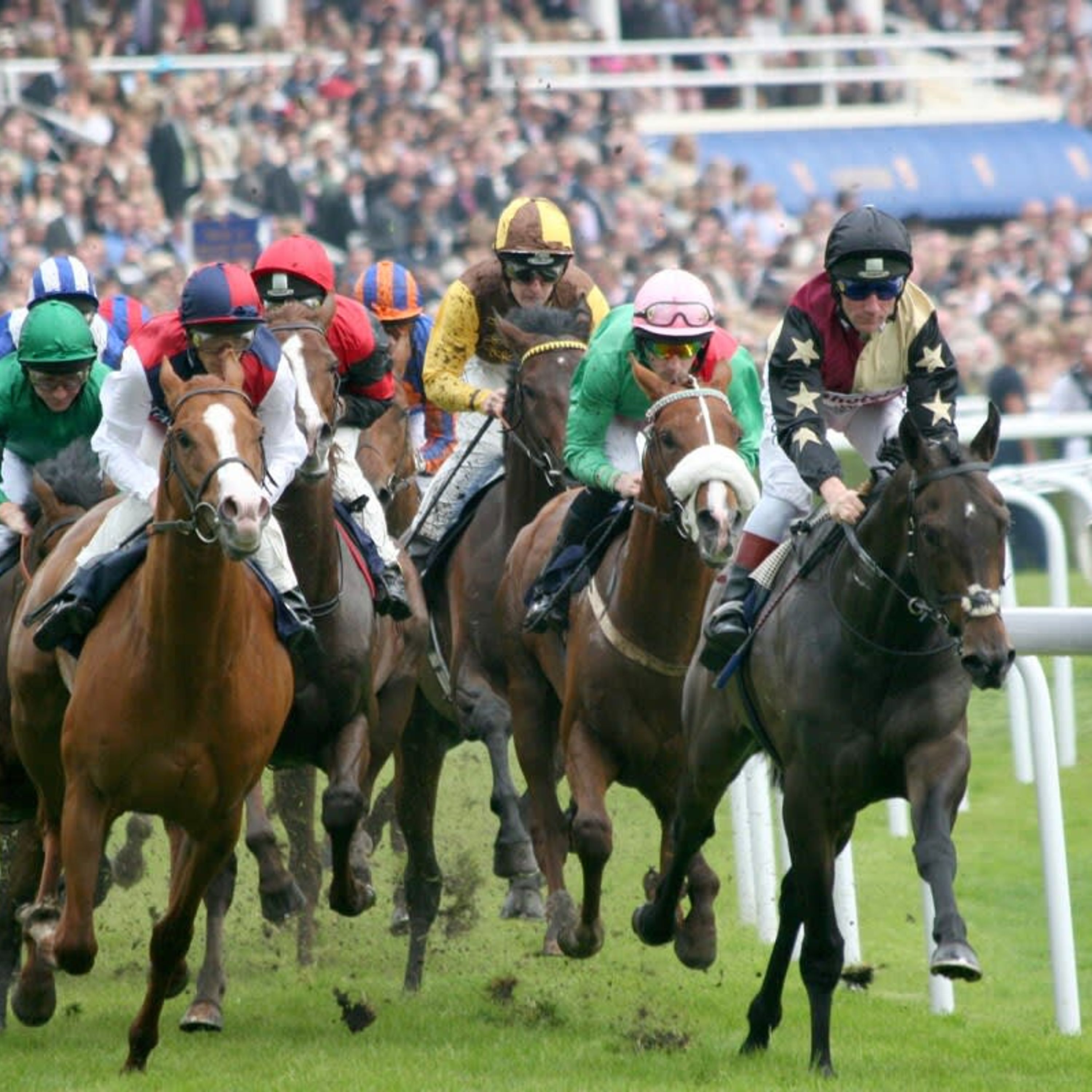 Un groupe de jockeys à cheval lors d’une course.