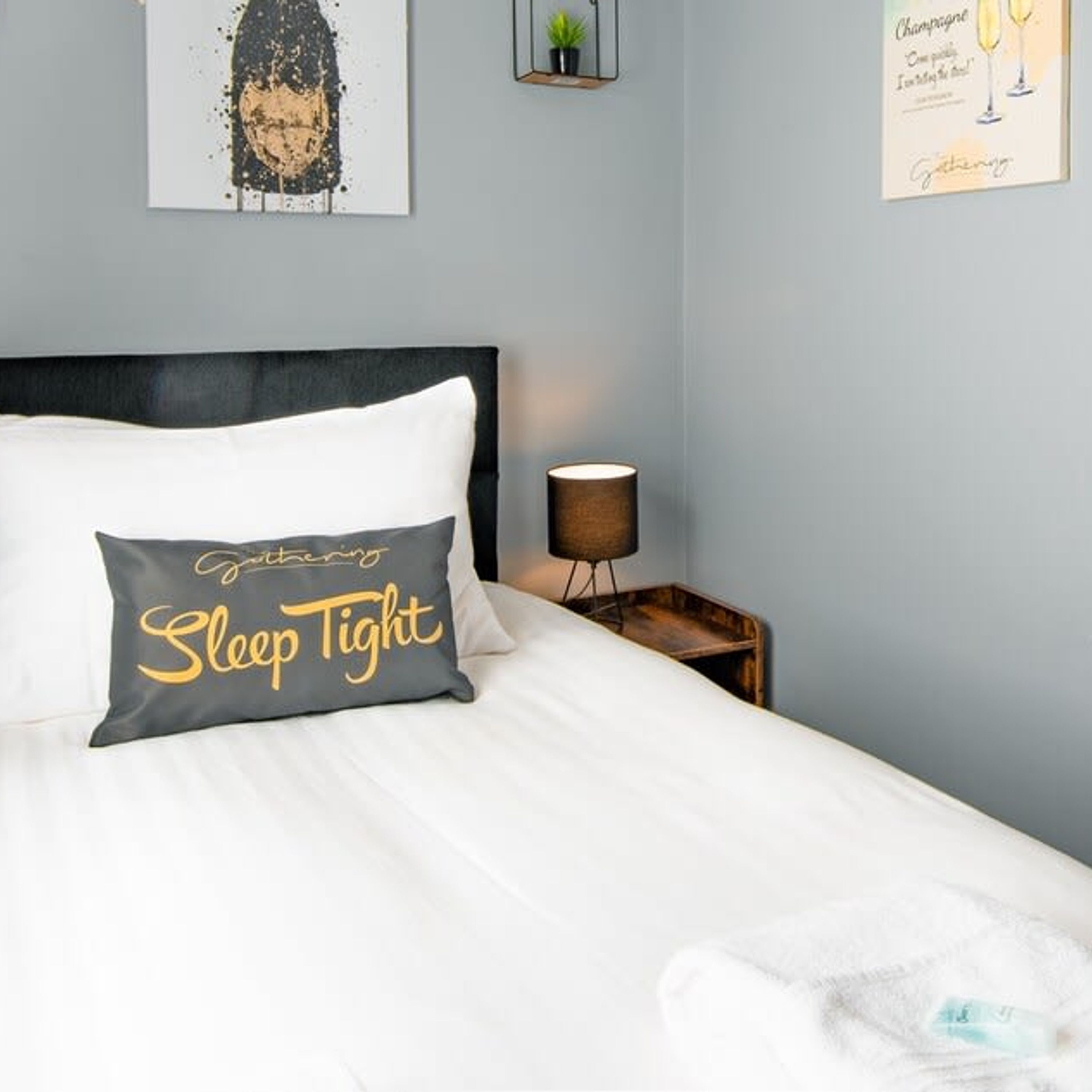 A neatly made bed with a pillow that reads "Sleep Tight" in gold lettering, a bedside lamp, and a small plant on a shelf above the bed.