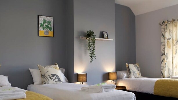 A hotel room with two beds, a grey wall, a plant, and a picture. - The Flintshire - Flint (Flint)