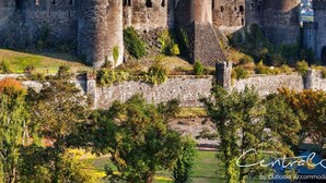 A historic castle with multiple towers and walls, surrounded by greenery and a clear sky.