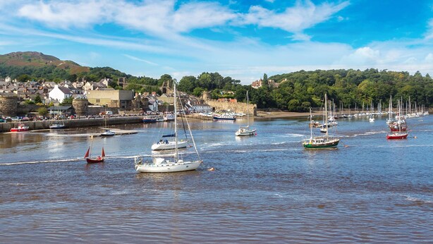 A harbor with multiple sailboats and yachts, surrounded by a town with buildings and hills in the background.