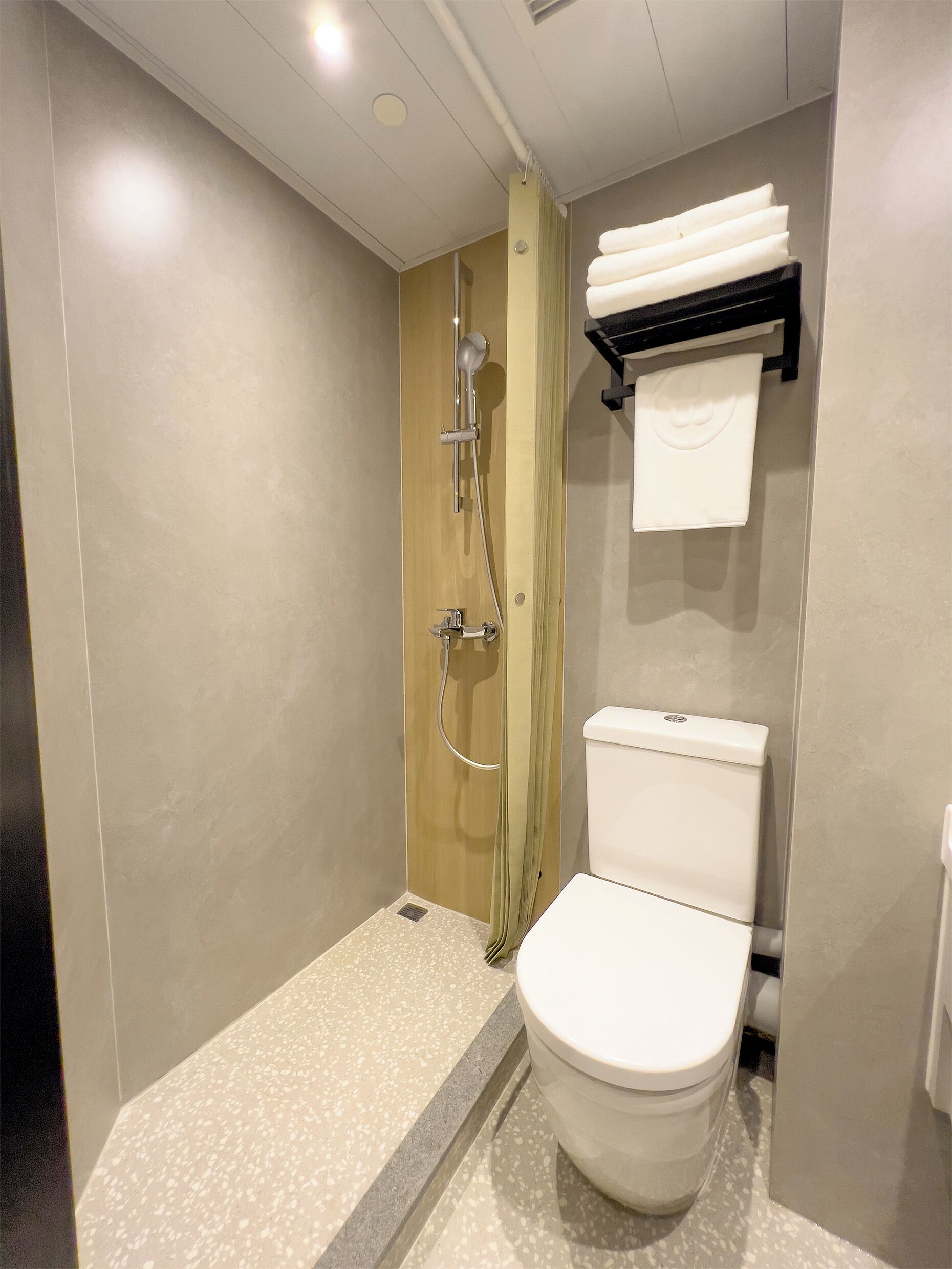 Une salle de bain moderne équipée d’une douche, de toilettes et d’un porte-serviettes.