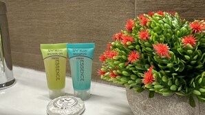 Deux produits de toilette, un gel douche et un shampoing, sont posés sur le comptoir d’une salle de bain, à côté d’une plante en pot ornée de fleurs rouges.