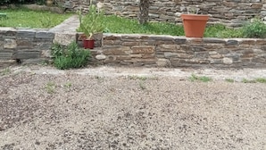 Ein Garten mit einer Steinmauer, einem Kaktus und einer Palme.