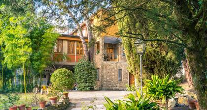 Majestic Villa in Hills of Florence with Gardens Gym Jacuzzi and Sauna