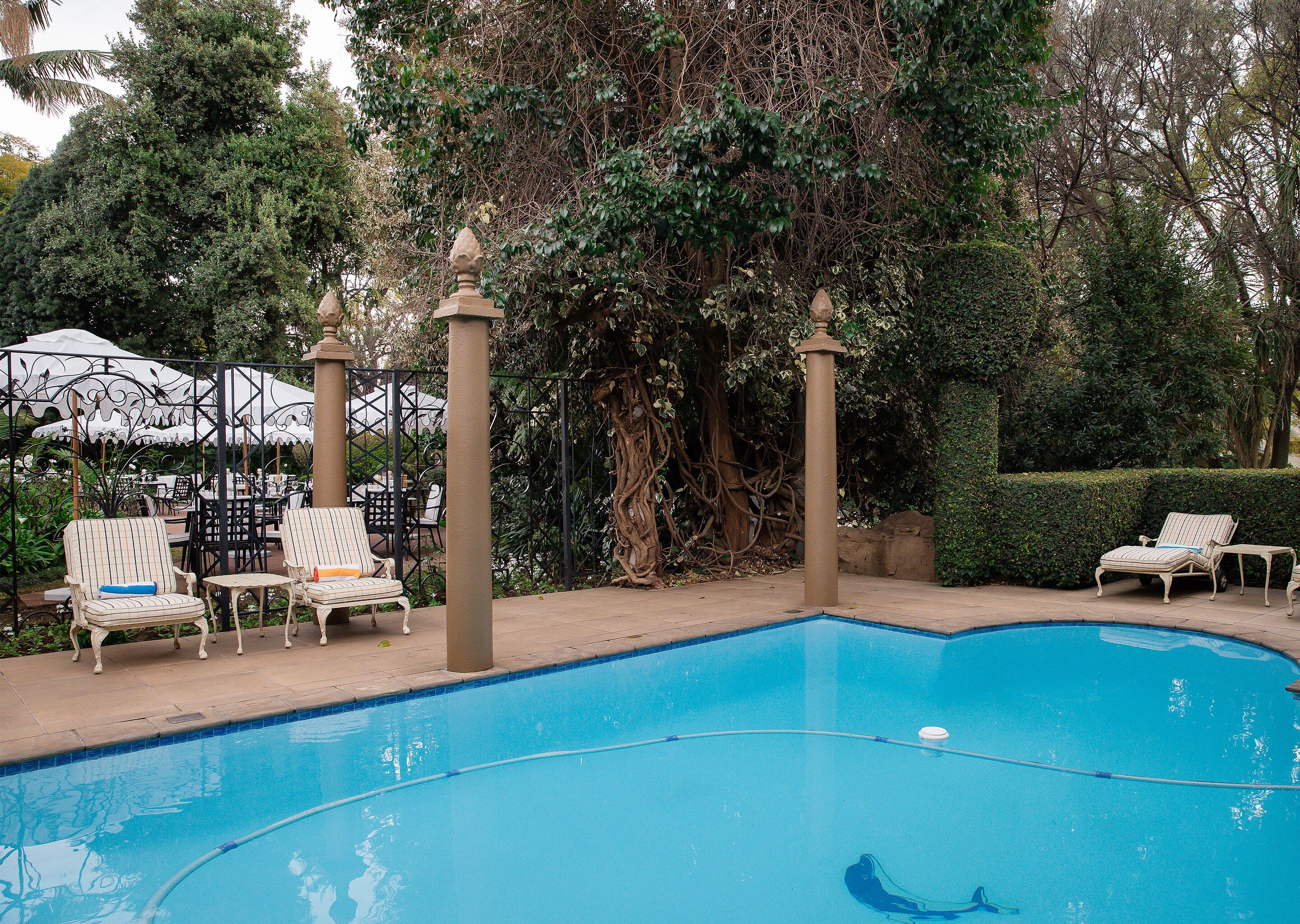 Una piscina con sillones de descanso y sombrillas, rodeada de abundante follaje y una valla decorativa.