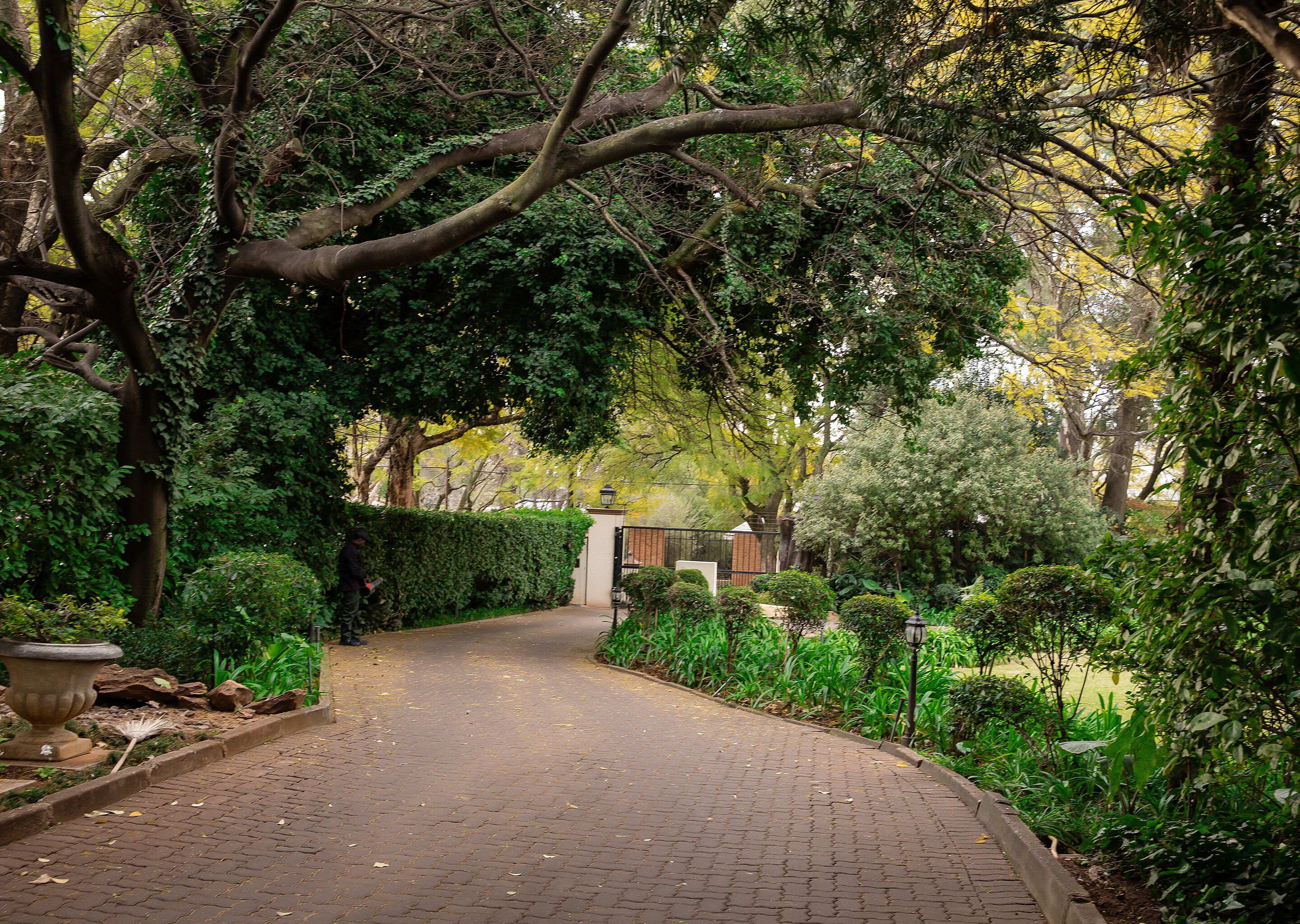 A paved pathway in a lush garden with dense foliage and a gated entrance.