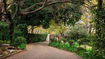 A paved pathway in a lush garden with dense foliage and a gated entrance.
