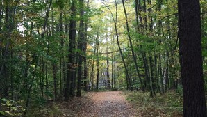 A forest path with trees on both sides. - The Pines Hill Top. Bring your own tent. (Unadilla)
