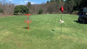 A grassy field with a red flag, a dog, and a vehicle. - The Pines Hill Top. Bring your own tent. (Unadilla)