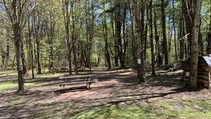 A campsite with picnic tables and a small cabin. - The Pines Hill Top. Bring your own tent. (Unadilla)