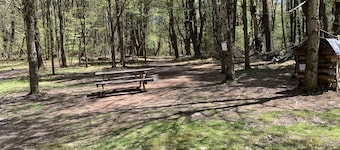 The Pines Hill Top. Bring your own tent or rent one for 35, setup 25.