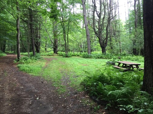 The Pines Hill Top. Bring your own tent or rent one for 35, setup 25.