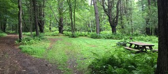 The Pines Hill Top. Bring your own tent or rent one for 35, setup 25.