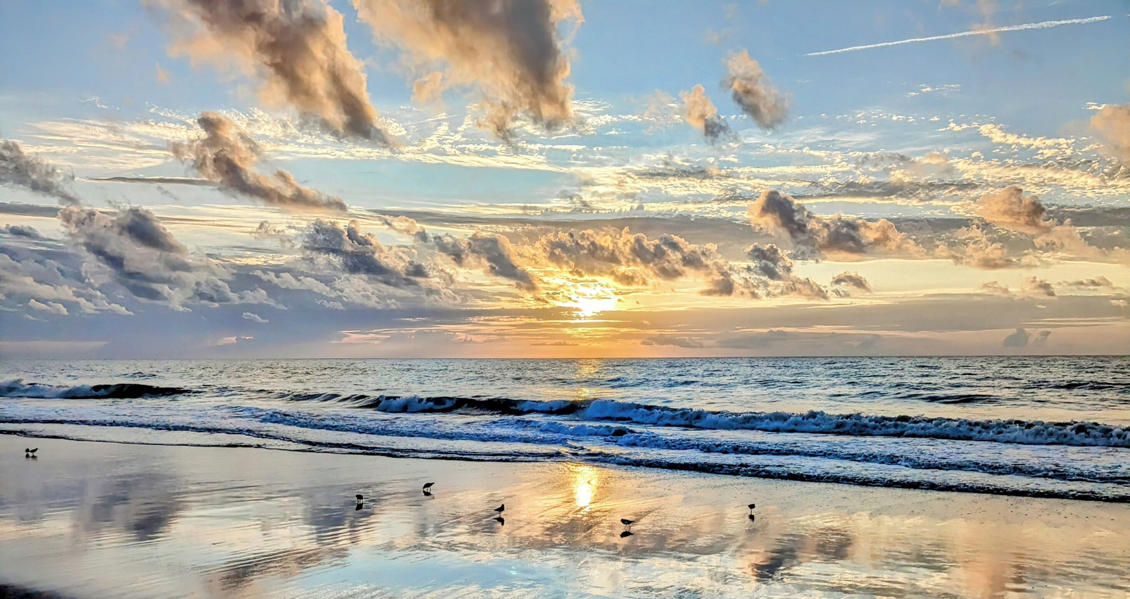 A beach scene with waves and birds on the sand, and a sunset in the background.