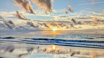 A beach scene with waves and birds on the sand, and a sunset in the background.