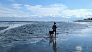 In StrandnĂ€he, LiegestĂŒhle, StrandtĂŒcher