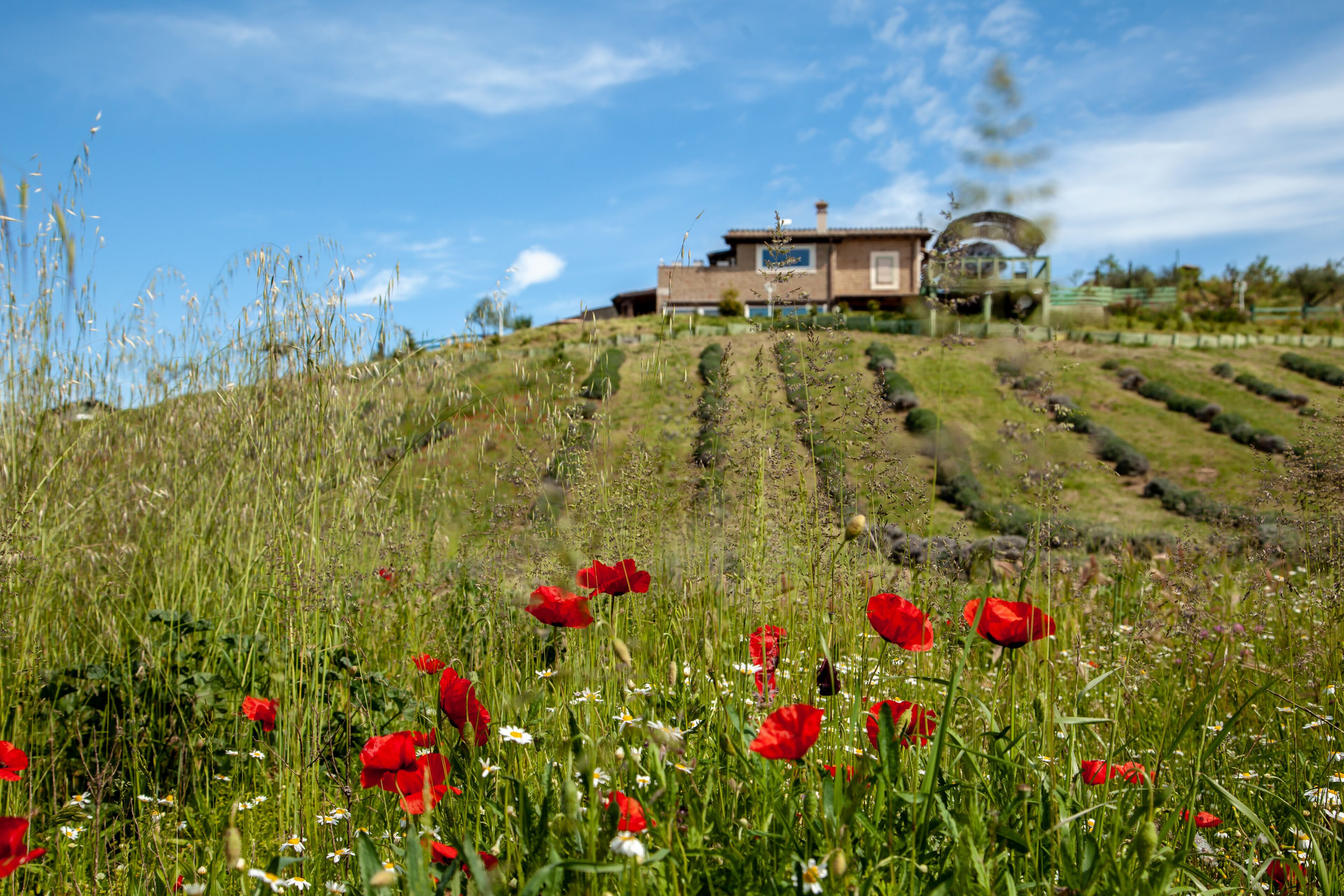 Terrein van de accommodatie