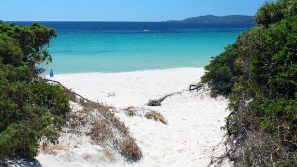 Ein Strand mit klarem türkisblauem Wasser, sandigem Ufer und üppiger grüner Vegetation an beiden Seiten.